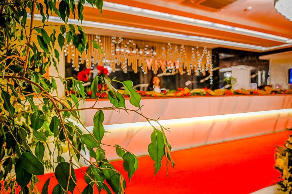 Hotel Vivas 4*